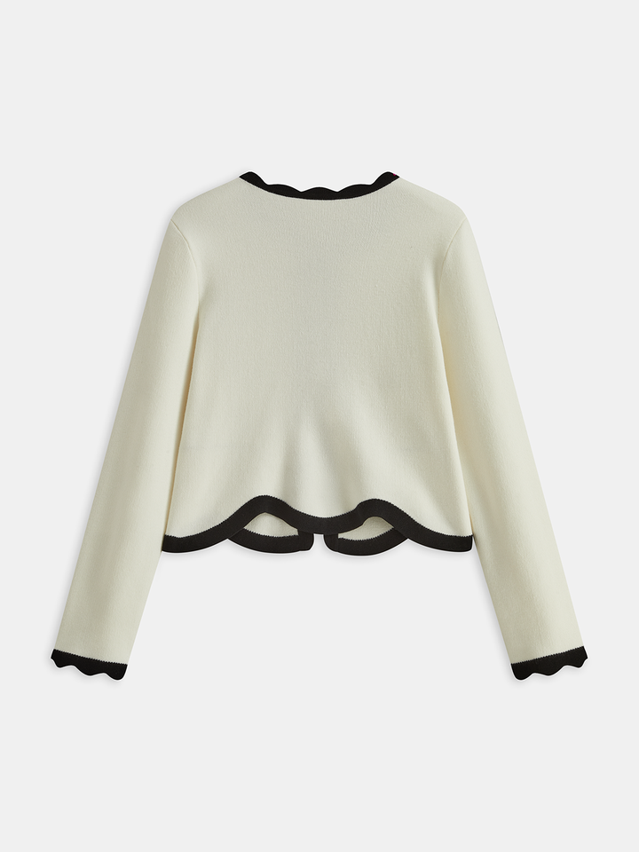 Zıt Renk Kaburga Desenli Triko Hırka